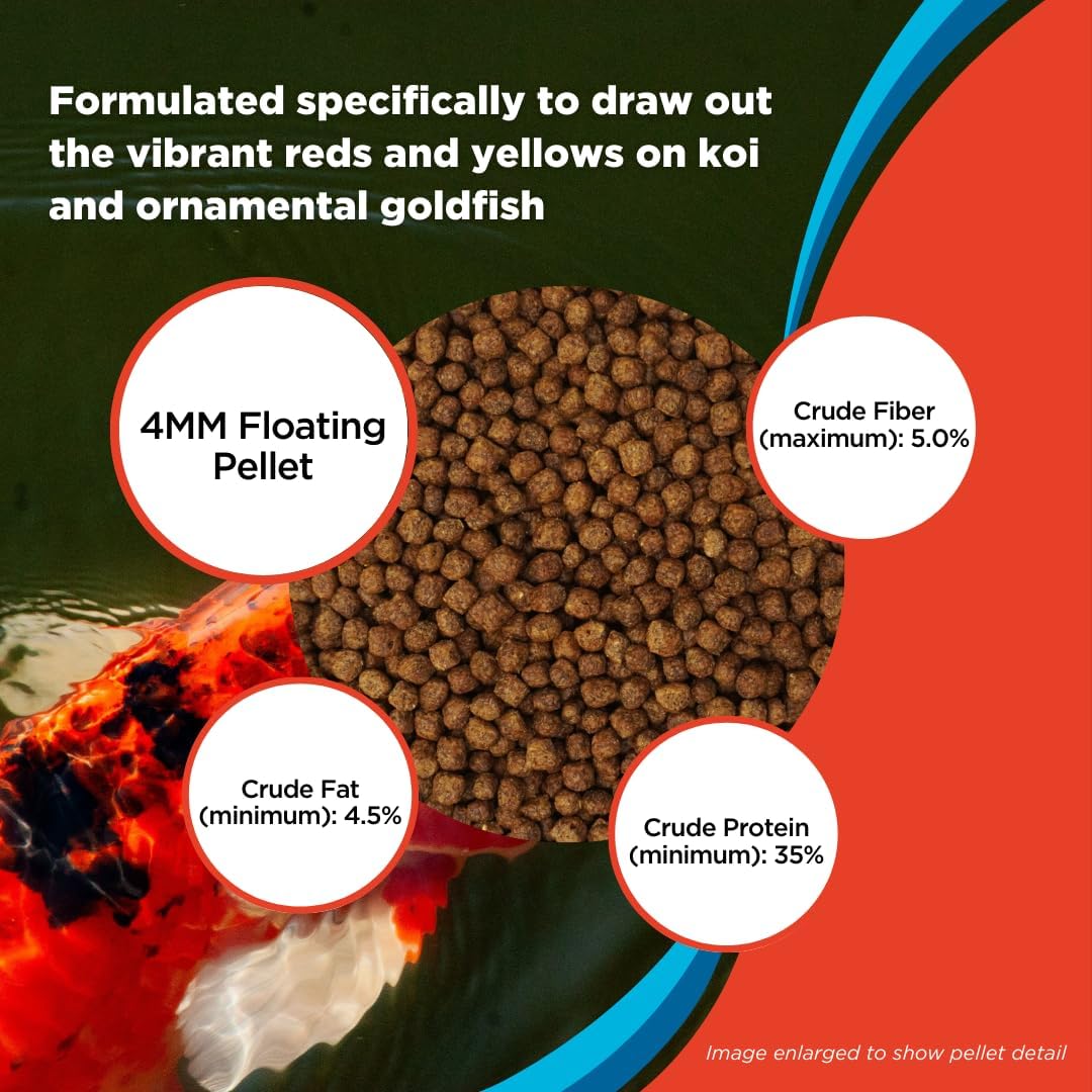 Color Enhancing Fish Food for Koi and Goldfish | 10 Pounds
