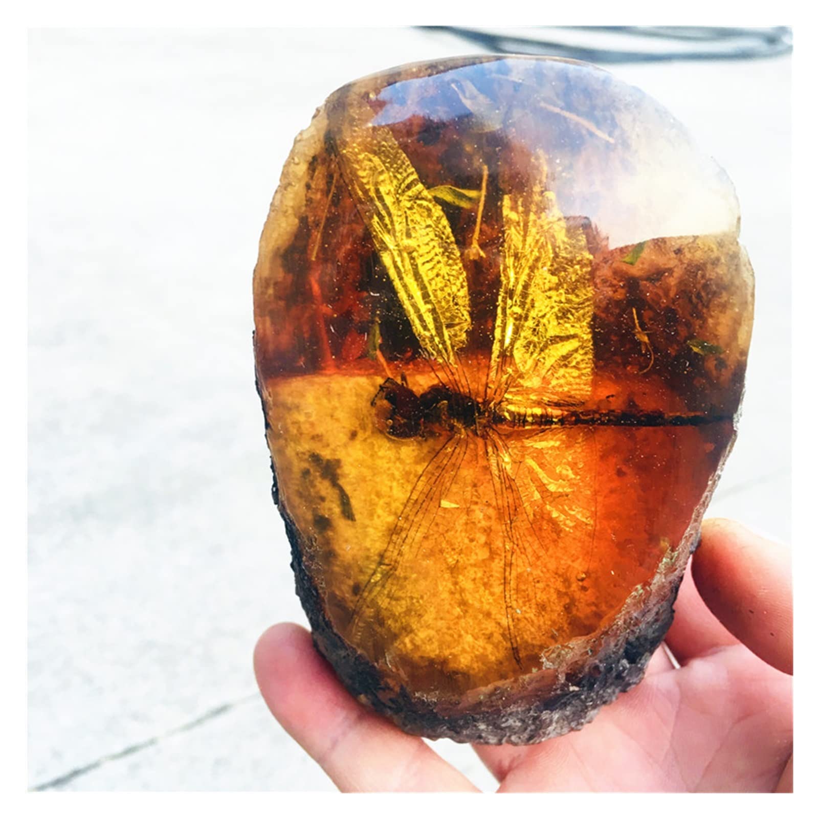 Amazon.co.jp: 天然水晶 9-10cm天然琥珀蜜蝋原石昆虫展示サソリ。 蝶 