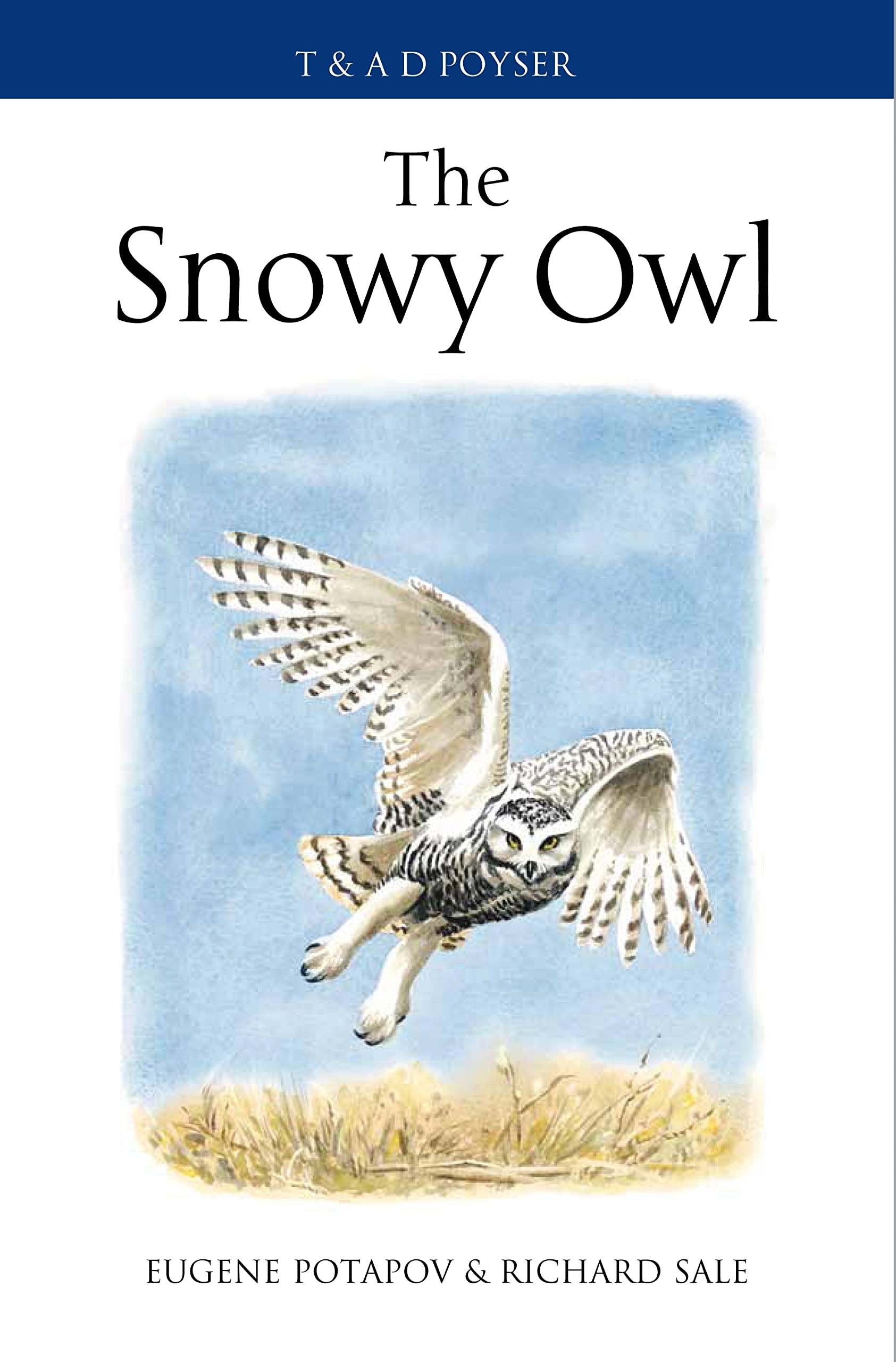 Buy The Snowy Owl — BookShops.in