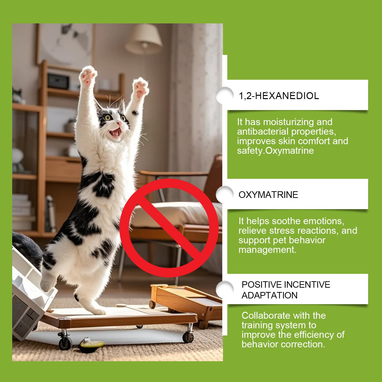 Spray Repelente Natural para Gatos,Spray Antiarañazos Sofa,Que Deja De Rascarse,para Interior Exterior Alfombra Sofá,100ML*2PC