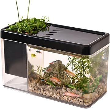 Transparent Fish Tank Aquarium for Sea Monkeys, Shrimp and Snails - Betta Fish