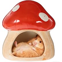 Ceramic House for Hamsters, Unique Hamster House Ceramic, Hamster Hiding Place Ceramic, Mushroom Shaped Hamster House and Habitats, for Gerbils, Mice, Chinchillas Hamster Hideout Small
