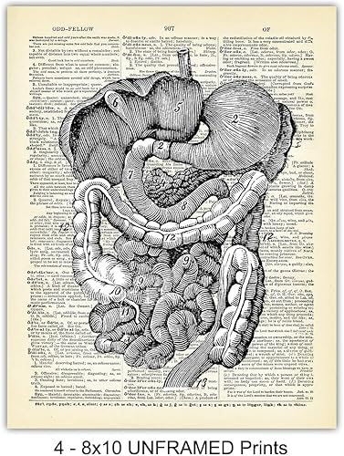 Miniatura 4 de Corazón, pulmones, cerebro, órganos de anatomía intestinal Diccionario reciclado, impresiones artísticas de pared para clínica médica, oficina,