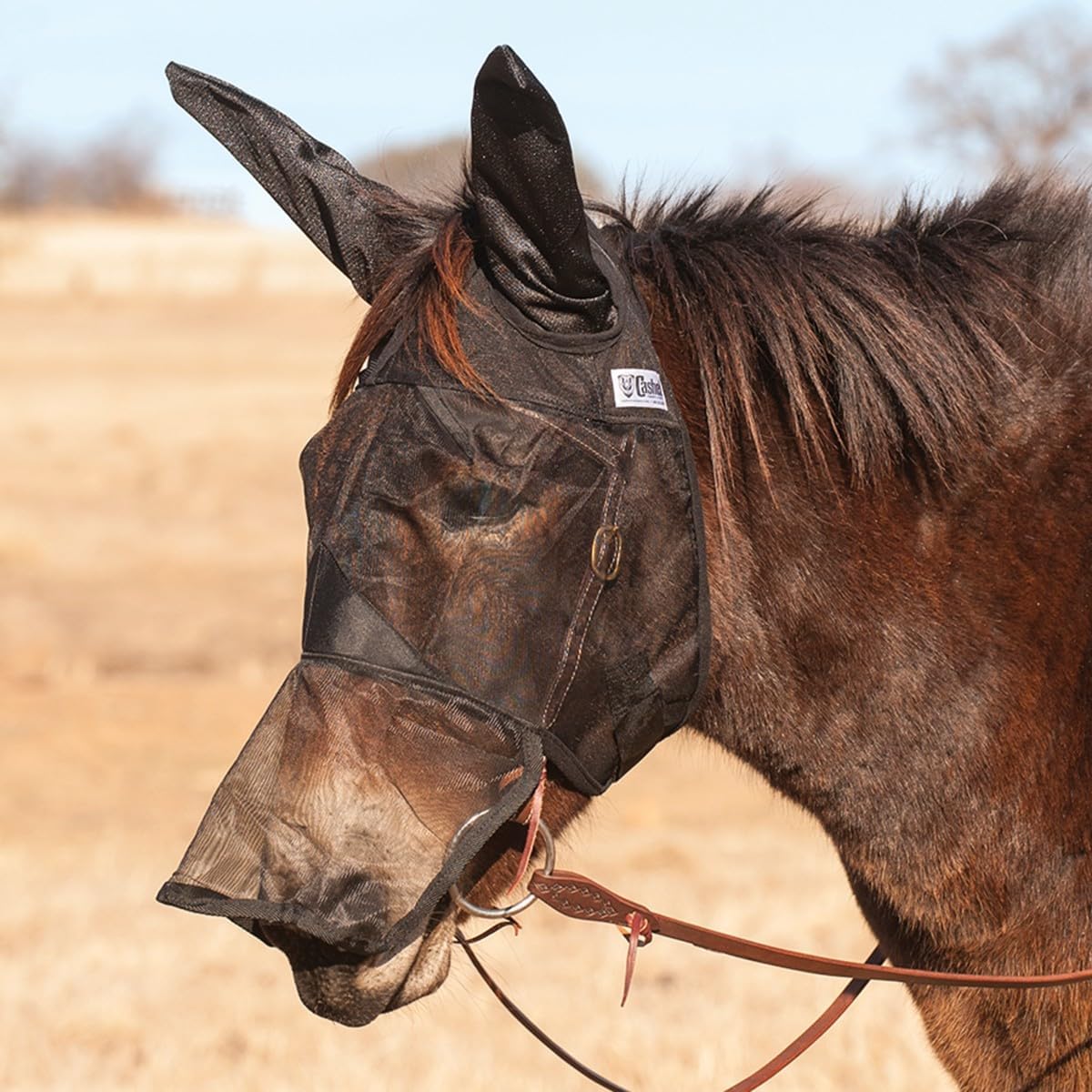 CASHEL QR Mule Horse Long Ear (QRMHLE)