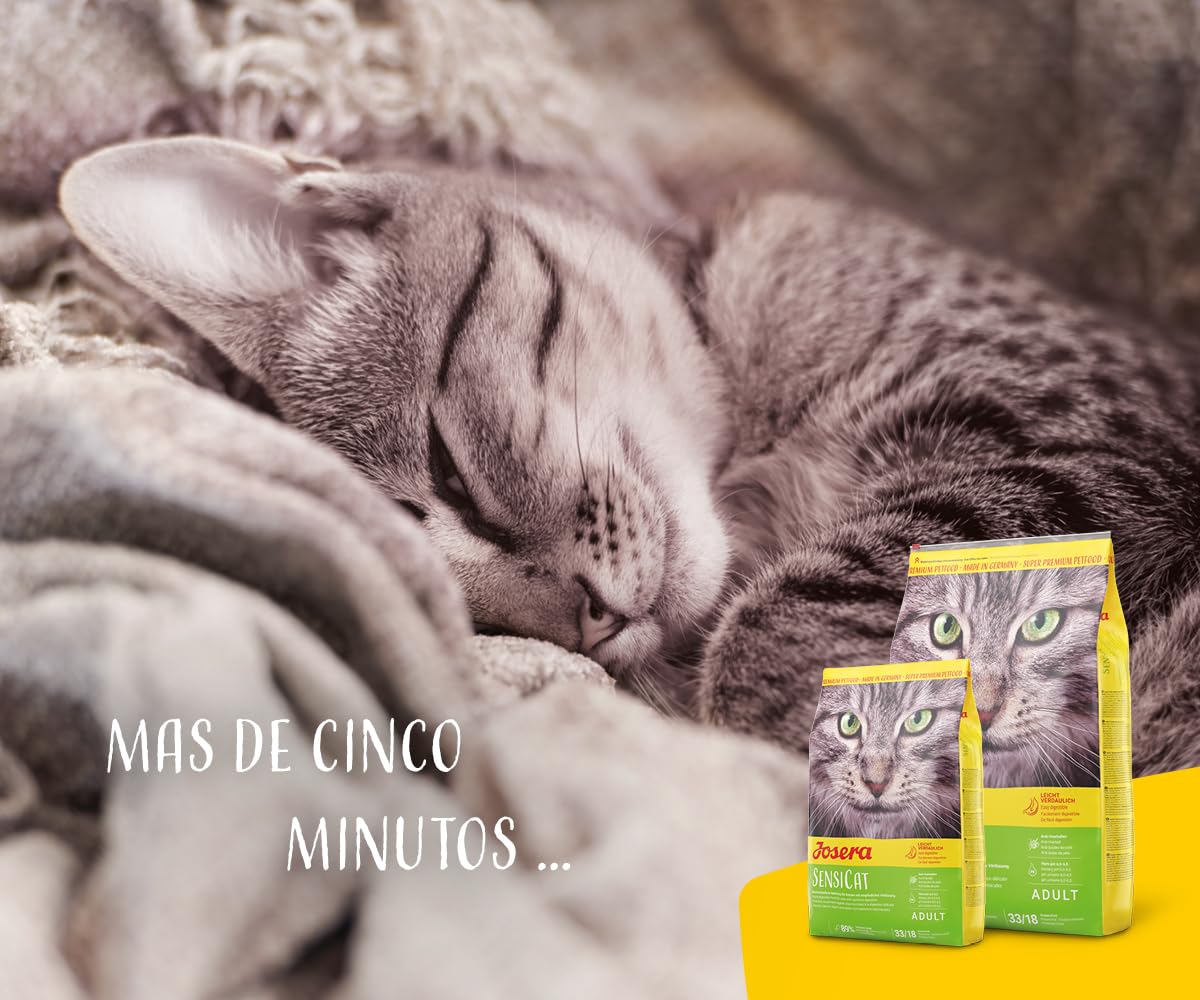 JOSERA SensiCat (1 x 10 kg) | Adultos | Pienso seco Gatos Adultos con sensibilidad digestiva | Aves y arroz | Fórmula de fácil digestión | Sin Trigo | Comida para Gatos | Pack 1