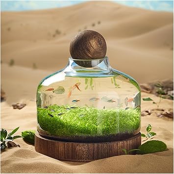 Modern Fish Tank Glass Bottle Ecological Culture Micro Landscape Self-circulating Small Plant Tank with Wooden Base Desktop Ornaments Desktop DisplayMedium