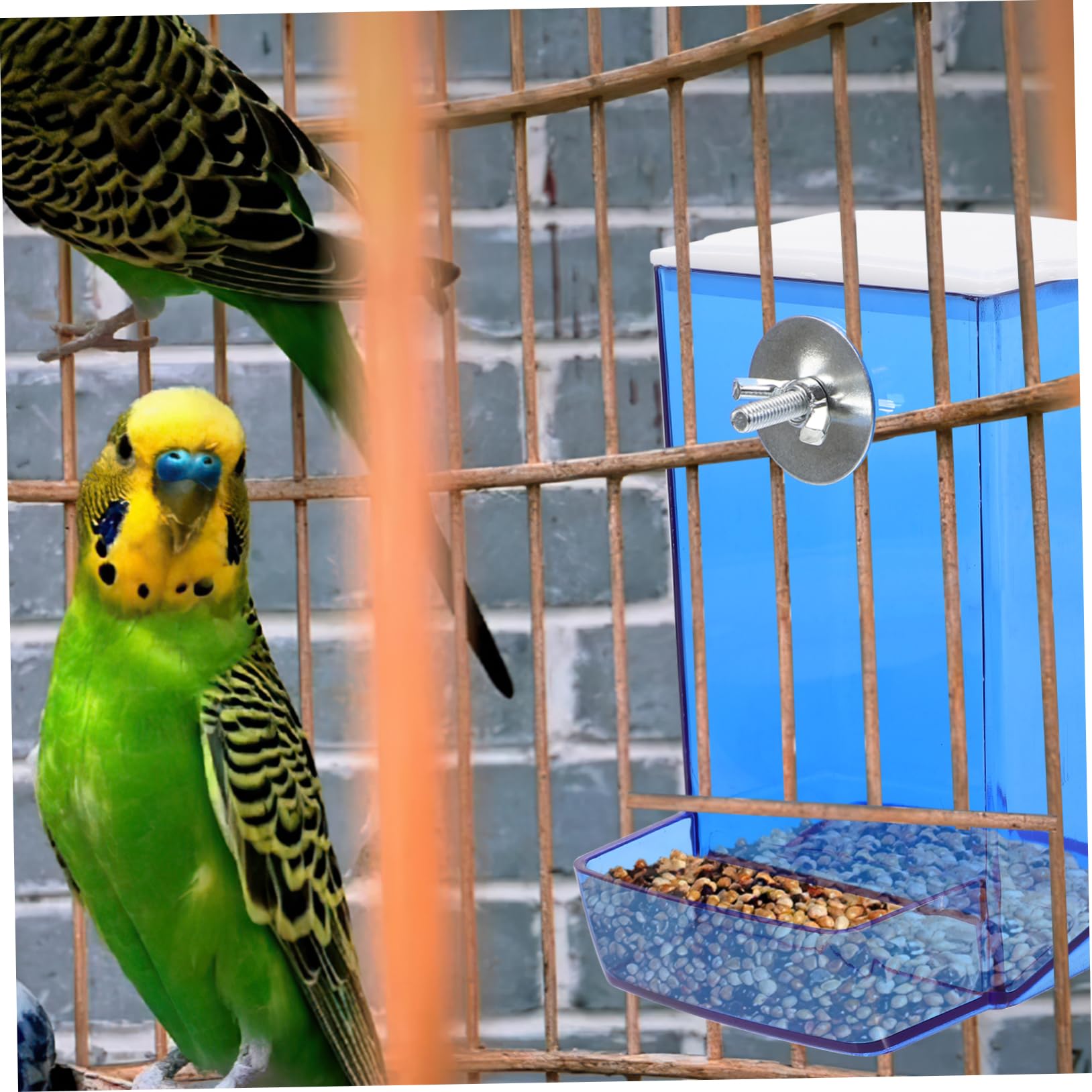 Yardwe 5stücke Automatischer Vogelfutterspender Für Käfige Transparente Futterstation Für Wellensittiche Und Kanarienvögel Praktische Und Einfach Zu Reinigende Futterbox Mit