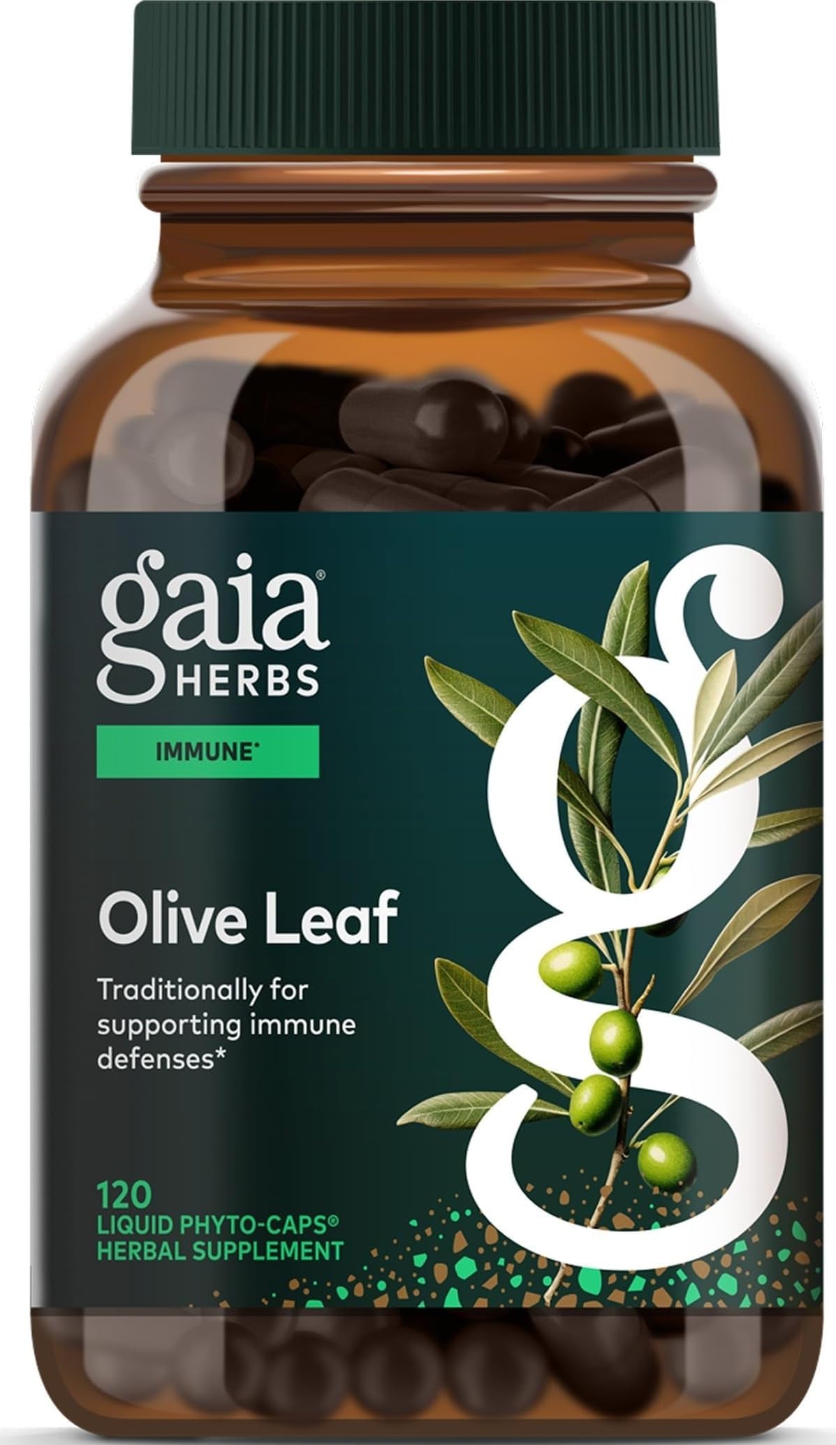 Gaia Herbs Olive Leaf - Traditional Immune Health Support - Immune System Supplement with Olive Leaf Extract & Oleuropein* - 120 Vegan Liquid Phyto-Caps (120 Servings)