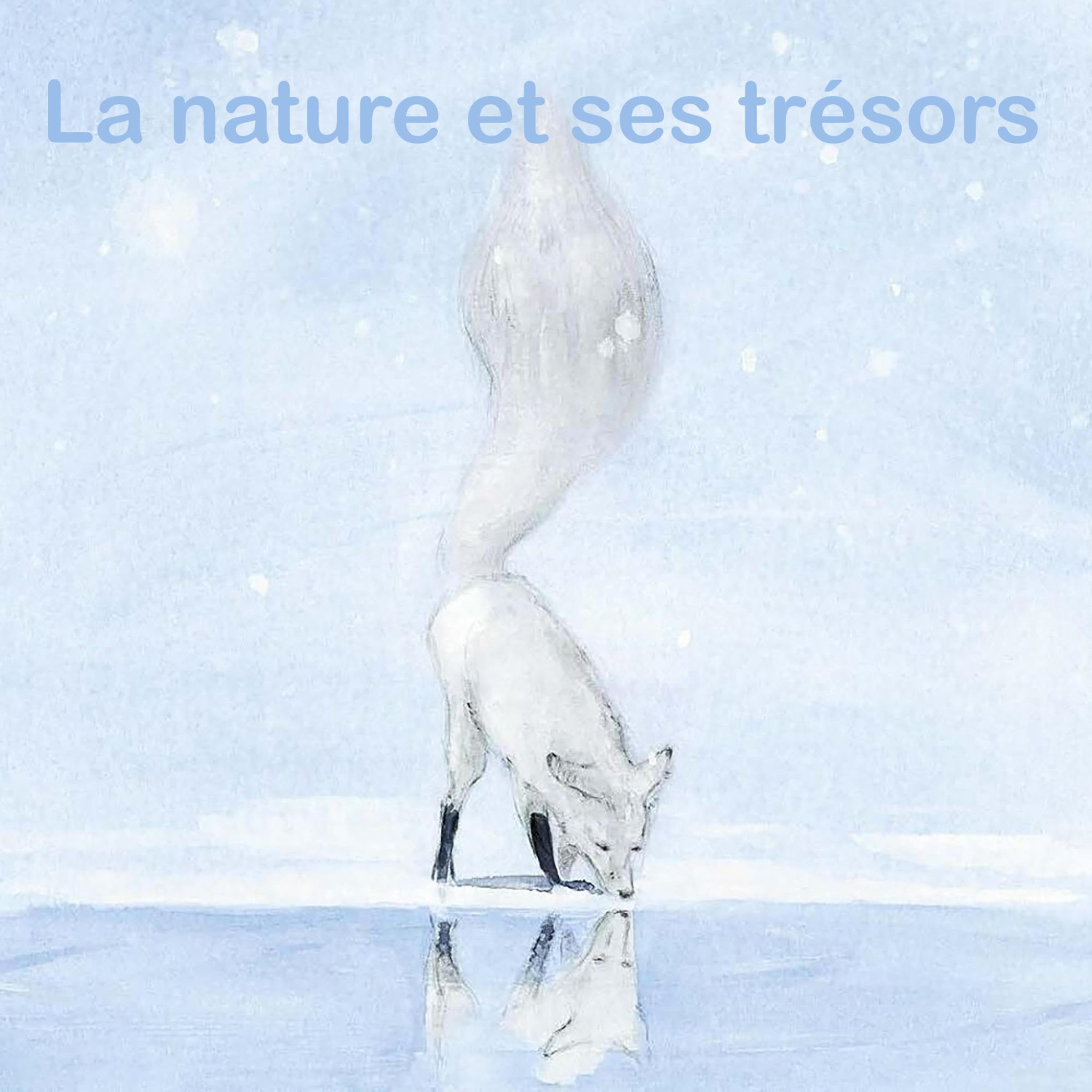 La nature et ses trésors