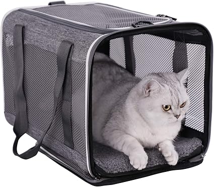 big cat carrier