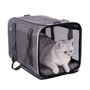 petsifam Pet Carrier for Large Cats and Small Dogs