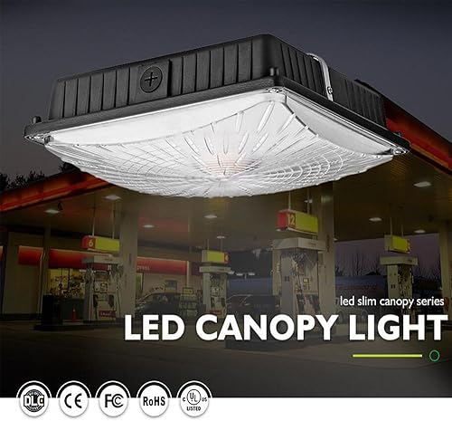 Miniatura 5 de 1000LED Paquete de 4 luces LED para toldo, 65 W, lámparas de techo de 8000 lúmenes, luz diurna 5000 K, reemplazo HIDHPS de 250 W, estación de