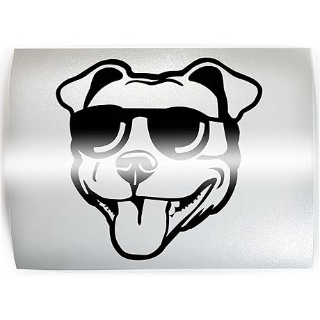 Are you fed up with your furry buddy drooling over the window...