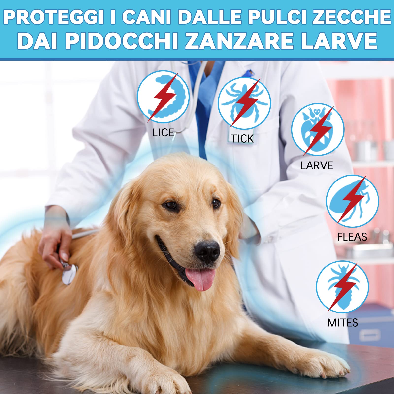 Collare Antiparassitario Cani 63.5cm - Olio Essenziale Naturale Contro Pulci E Zecche | Impermeabile 12 Mesi - Foto 5