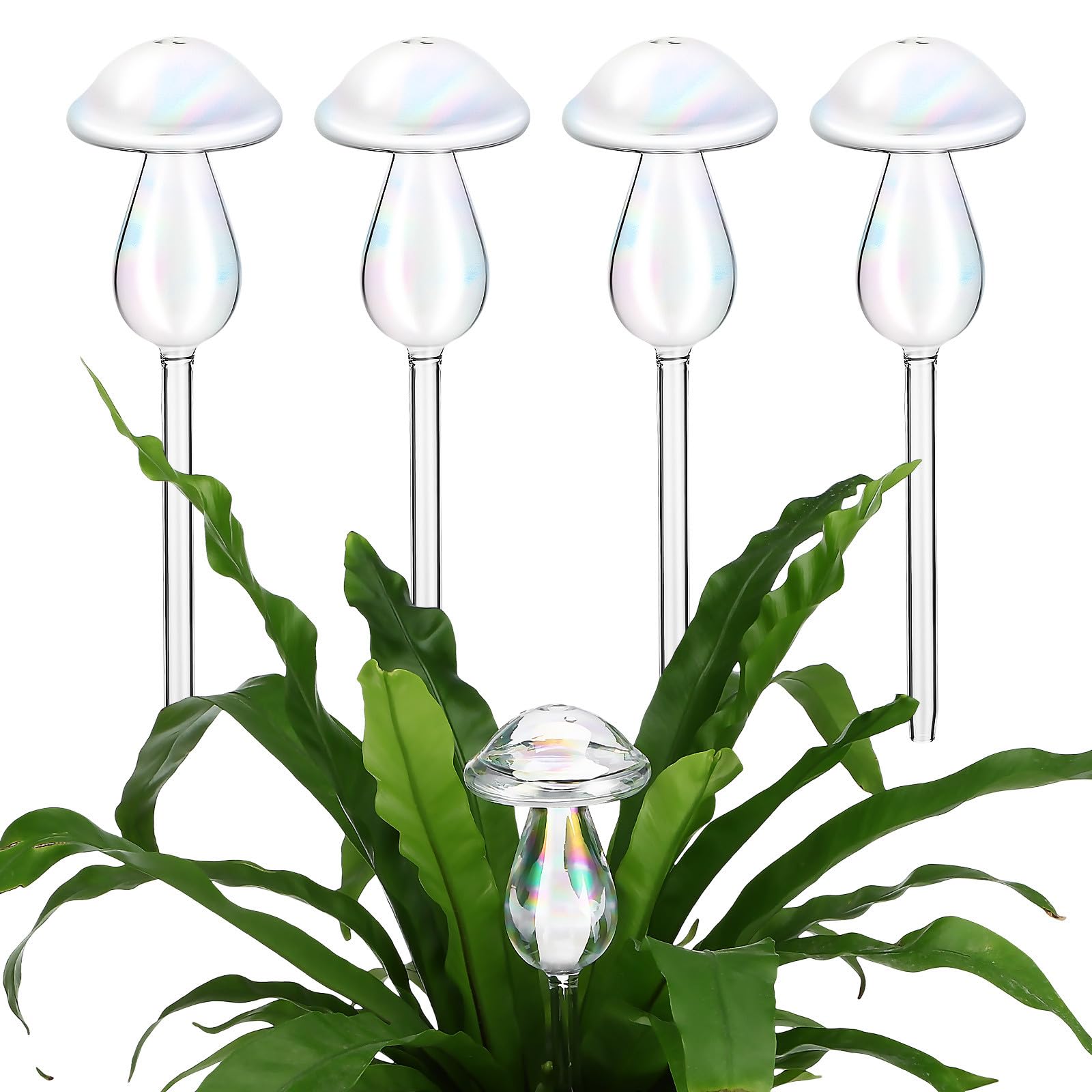 Globes d'Arrosage Automatiques Verre Tuteurs Plantes Intérieur