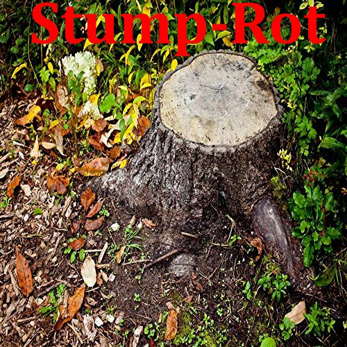 Stump Rot