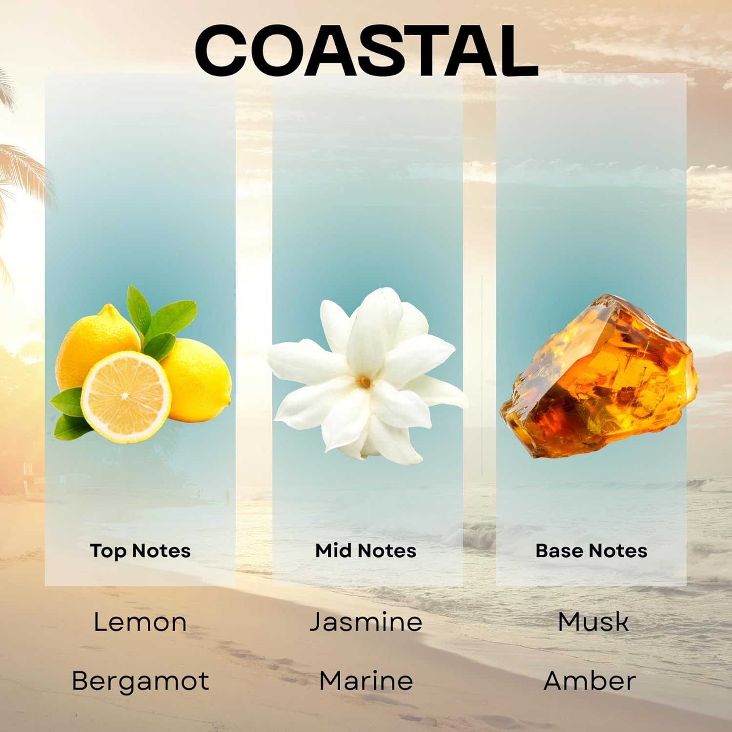 Scentia Diffuser Oil Inspired by R.itz Carl.ton Hotel Scent - 500 ml 16.9 fl oz - Essential Oil Blend, Spa Scent, Jasmine & Bergamot Notes for Aromatherapy Diffusers and Humidifiers - Coastal - Image 3