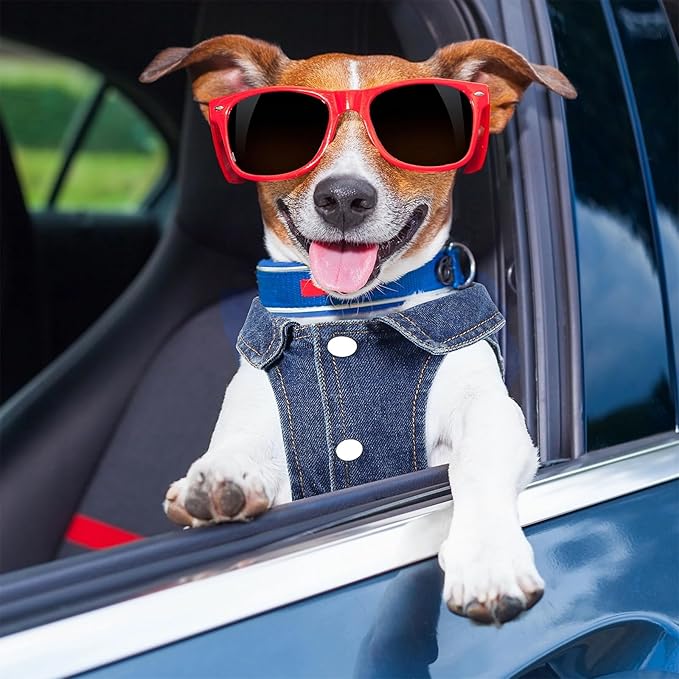 Chaqueta de mezclilla para perro Pawstrip con margarita bordada miniatura 7