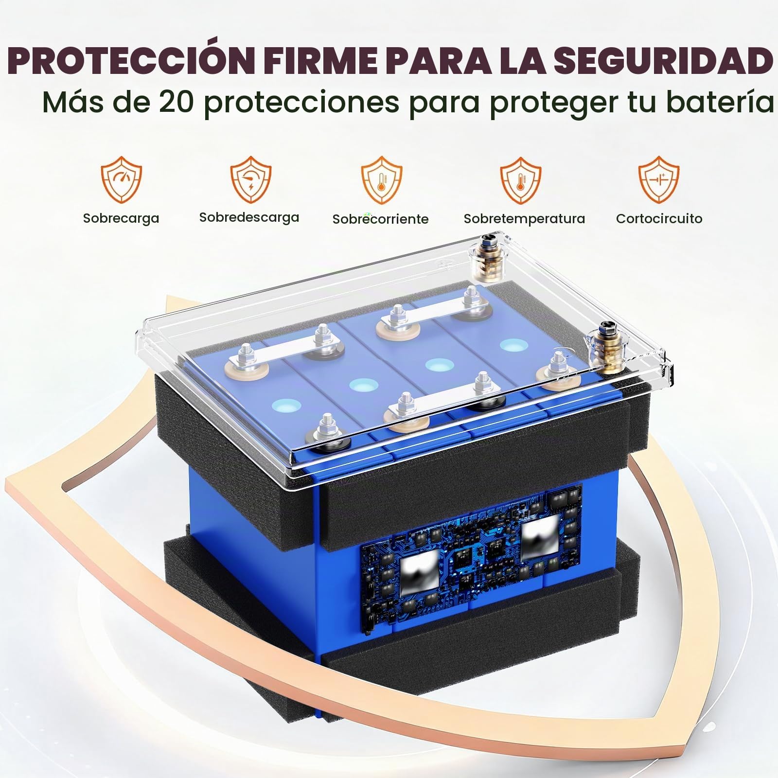 12V 100Ah LifePo4 con protección contra bajas temperaturas (12V 100Ah Lifepo4)