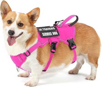 VOOPET Escape Proof Dog Harness, Soft Padded Full Body Pet Harness, Reflective No Pull Dog Harness with Handle and 2 Leash Clips for Small Dogs Walking Hiking Training Rose Pink,S