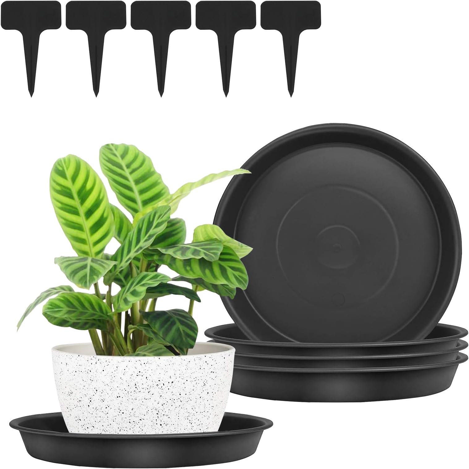 Taasmoog Sottovaso rotondo in plastica, confezione da 10 pezzi, per piante grasse, per contenere gocce d'acqua e terreno (15 cm + 17 cm + 19 cm + 22 cm + 25 cm