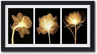 8x16 Collage Picture Frame Displays 3-Opening 5x7 Pictures with Mat or 8x16 without Mat, Wall & Tabletop Picture Frames Cl...