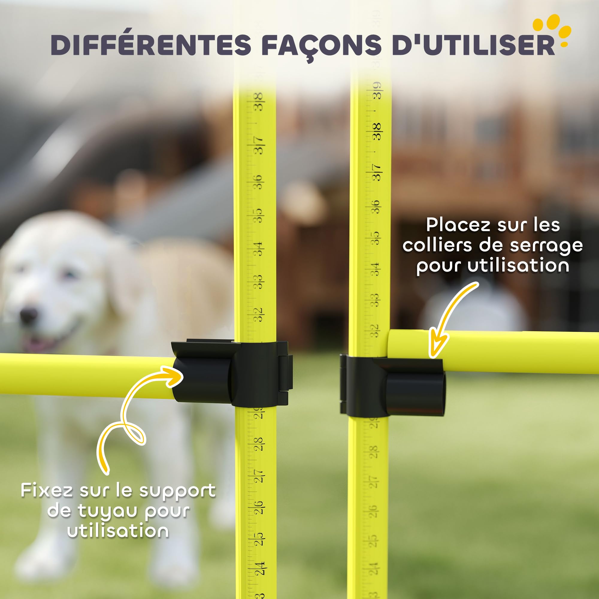 PawHut Agility pour chiens, kit agility chien parcours, set de 4 obstacles professionnels hauteur réglable, système de maintien au sol sac transport parfait pour jeux intéressants, entraînement, jaune