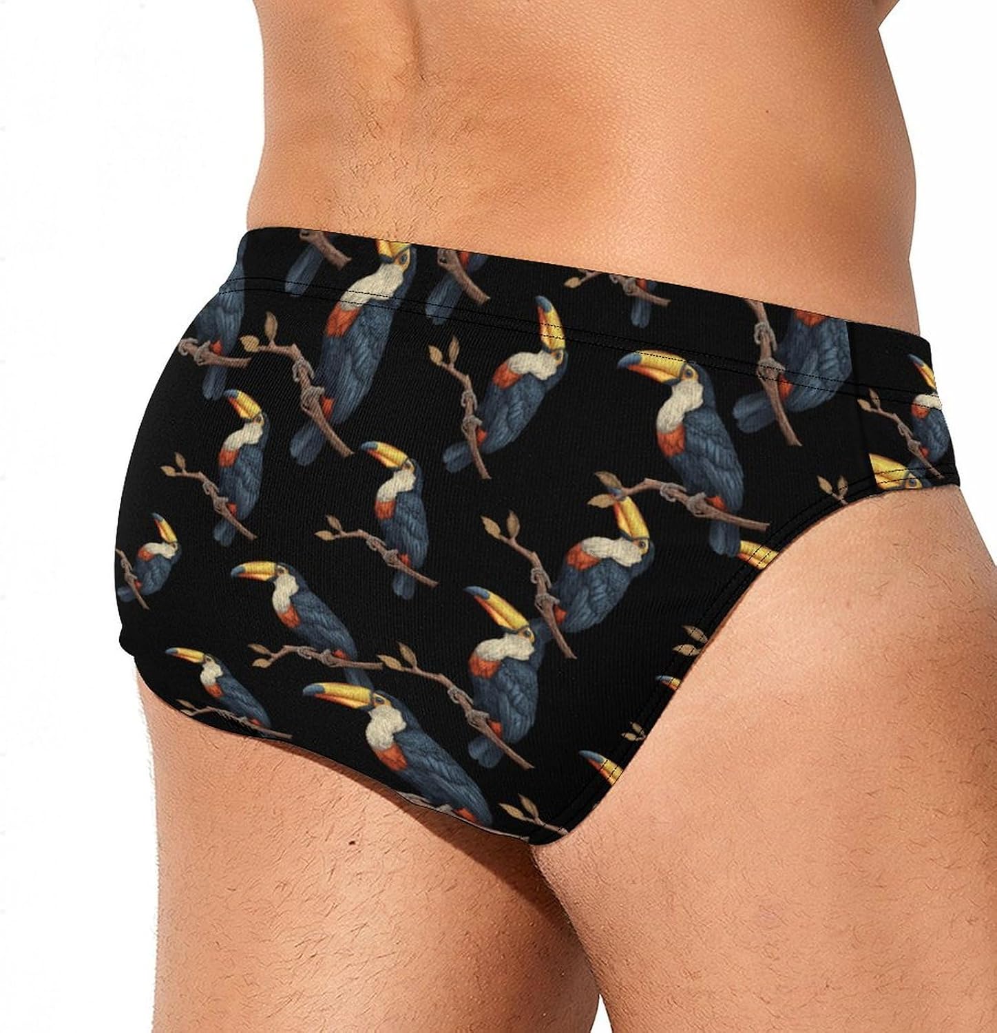 Toucan Bird Men's Swimsuit Brief Sexy Bikini Briefs Retro Printed Swimwear Quick Dry Swimming Trunks 3X-Large