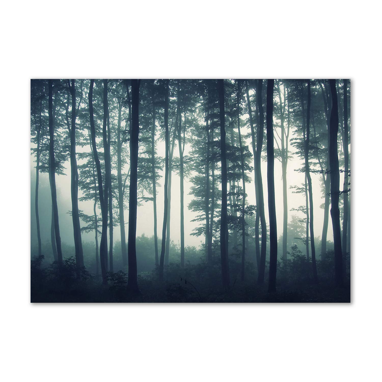 Tableau en verre acrylique d'art contemporain motif forêt brumeuse luxe
