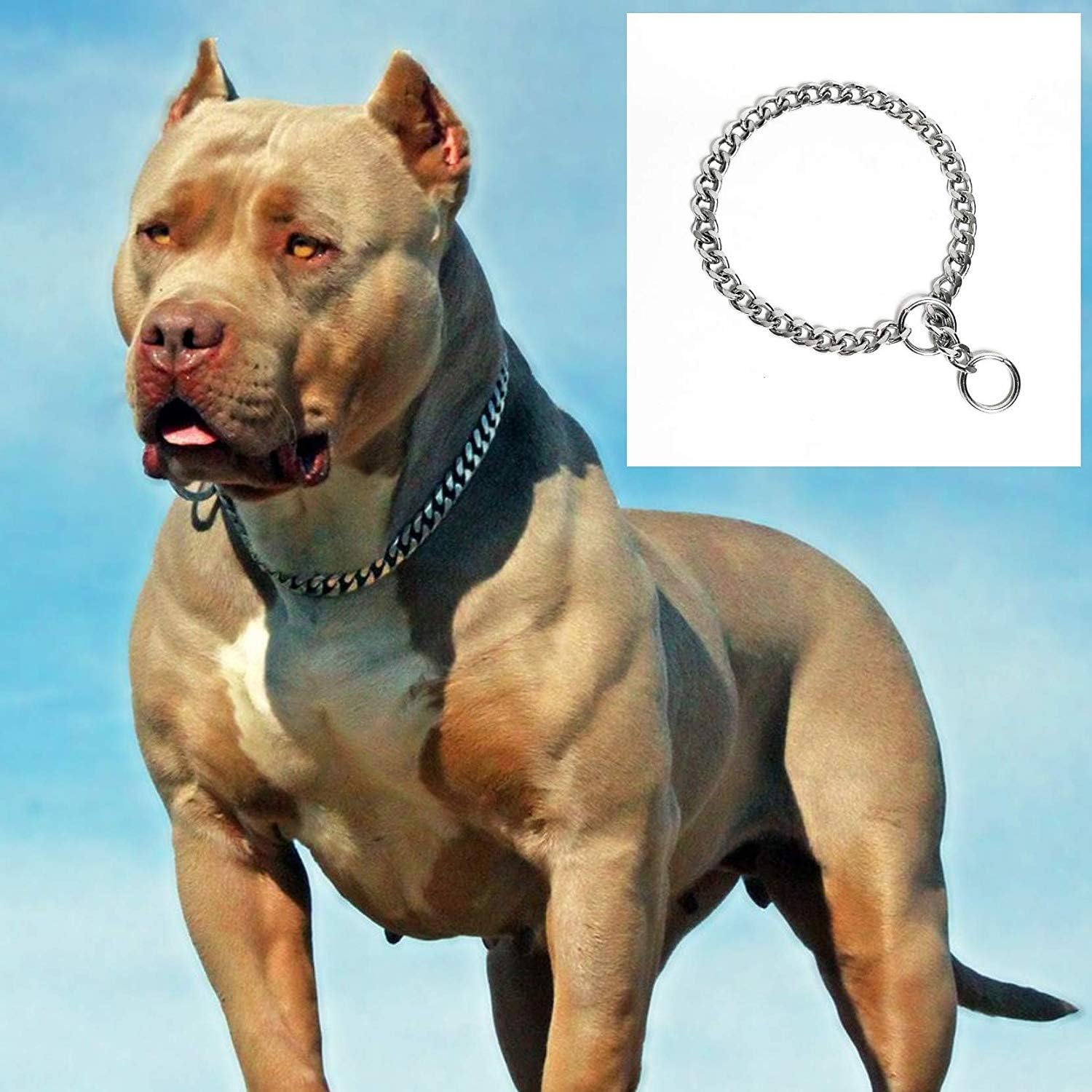Mr Oreo Chrome Plated Dog Choke Chain Dog Collar Chain Choke Chain Training Collar Training Chain - 22 Inch Collar / 2 cm Thick