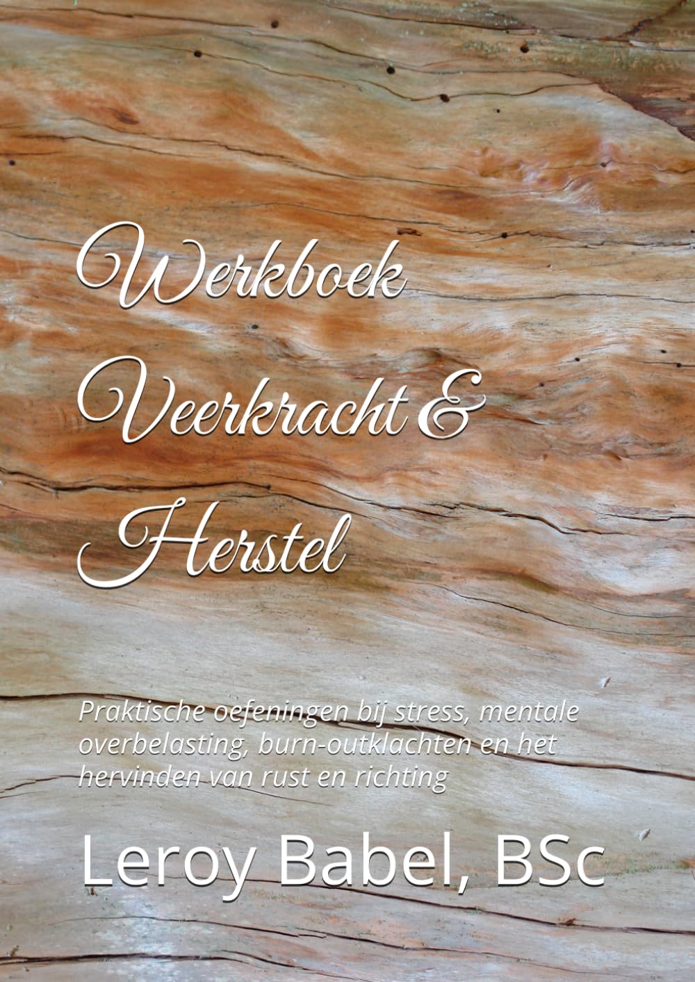 Werkboek Veerkracht & Herstel: Praktische oefeningen bij stress, mentale overbelasting, burn-outklachten en het hervinden van rust en richting