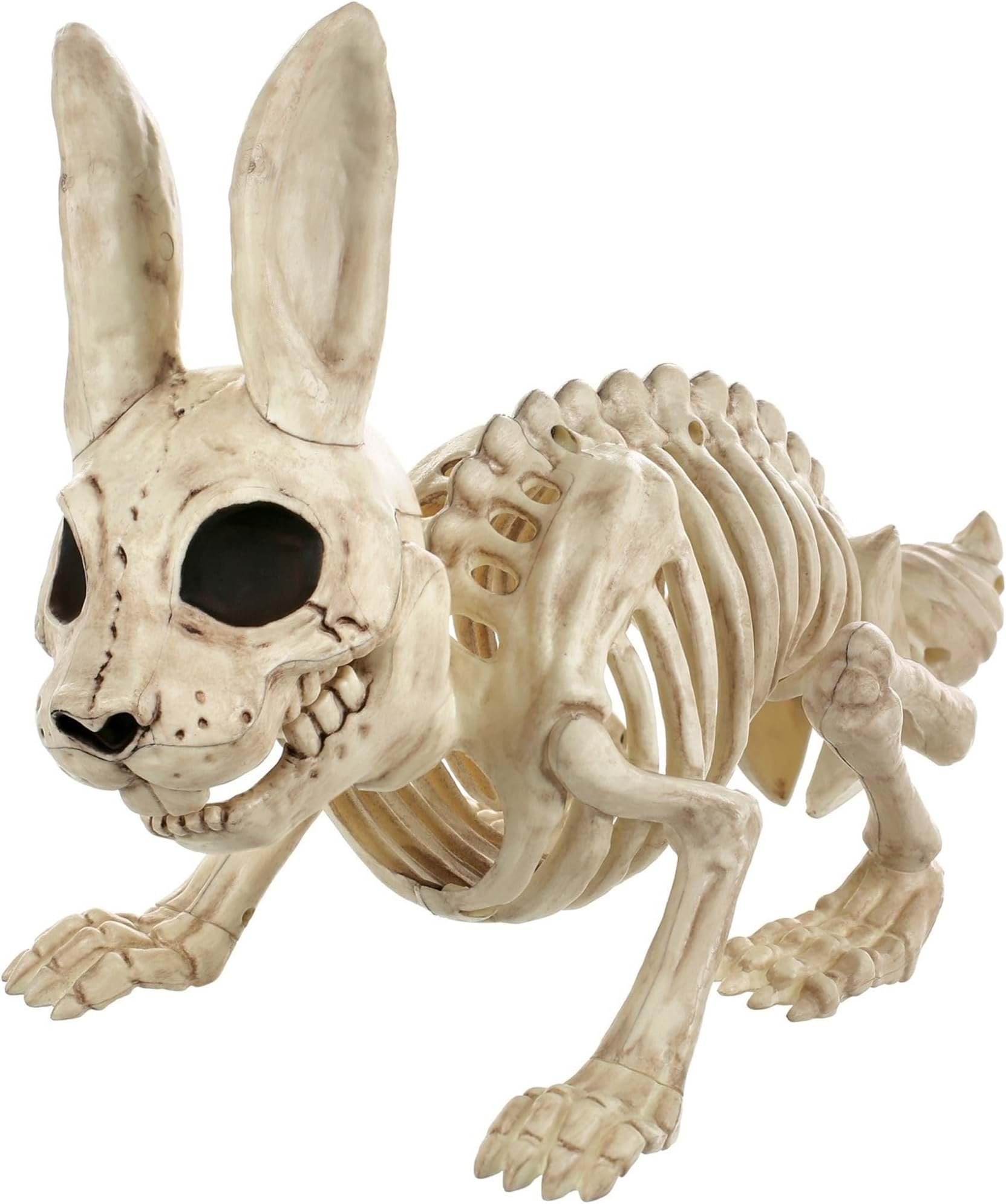 Bunny Bonez Skeleton