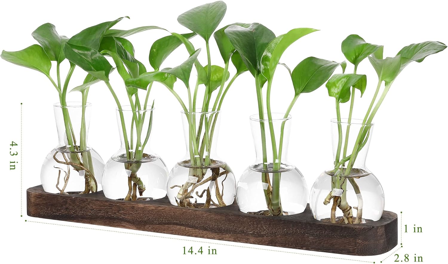 YIBOT Plant Propagation Stations,Glass Propagation Vases for Plants Terrarium with Wooden Tray Plant Lover Gifts for Propagating Hydroponic Plants Home Office Decor(5 Vase) - Image 2