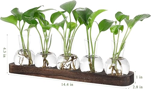Miniatura 39 de YIBOT Estación de propagación de macetas para colgar en la pared, florero de cristal para plantas hidropónicas, terrario de plantas con soporte