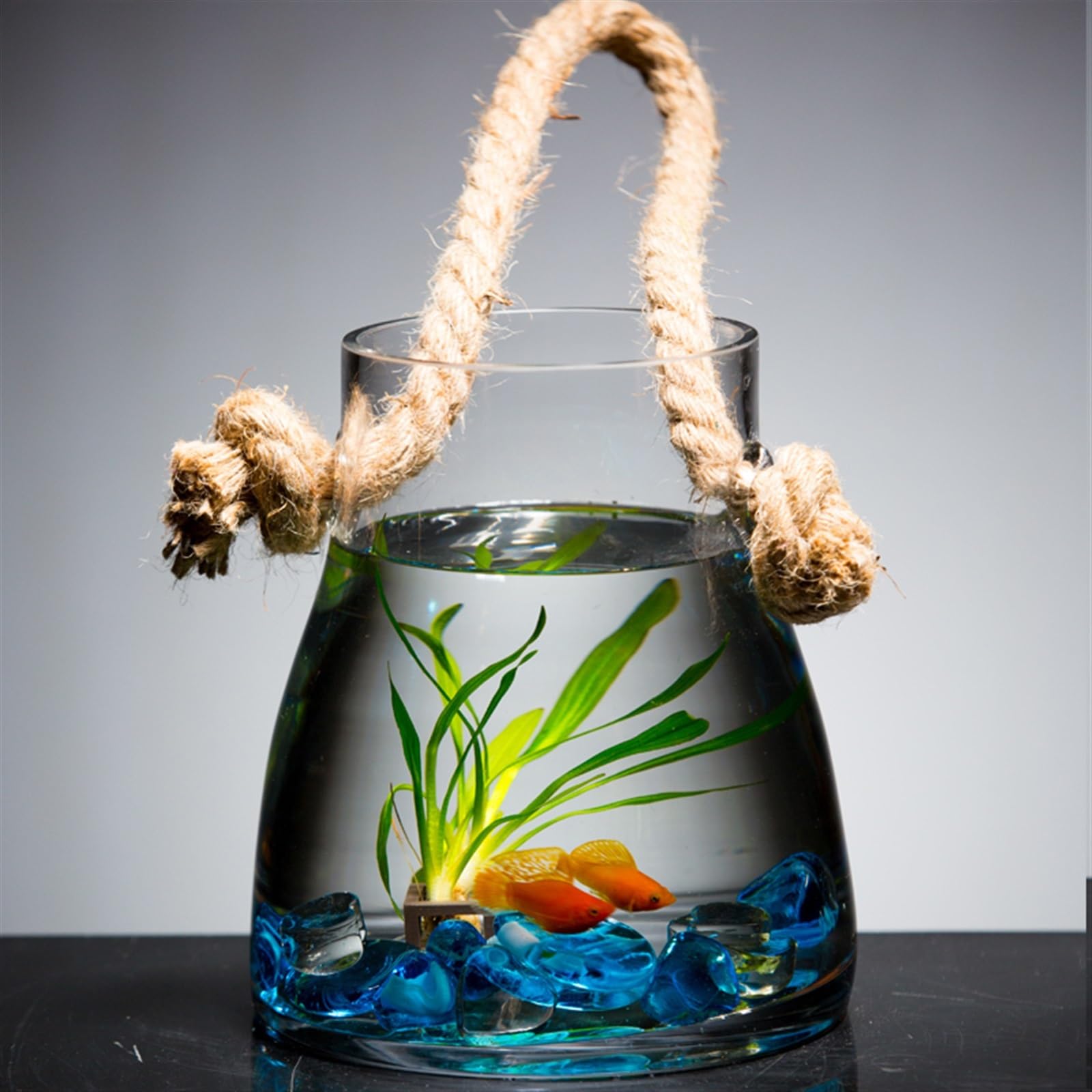 Mały Hanging Indoor Outdoor Fish Tank Living Room Small Wall-mounted Goldfish Aquarium Glass Aquarium Ecological Decorative Creative Fish Tanks Złota rybka