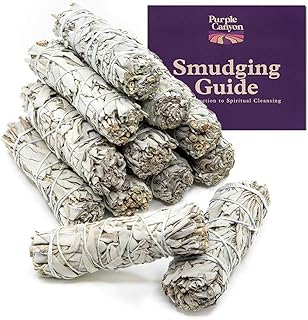 Sponsored Ad - Purple Canyon Sage Smudge Kit - (12 Pack) - White Sage Smudge Sticks Incense Kit for Meditation Home Cleans...