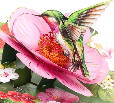 Birthday Card, Hover Hummingbird Pop Up Card, 3D Greeting Cards for Birthday, Mothers Day, Anniversary, Thinking of You, Graduation, Spring, All Occasion