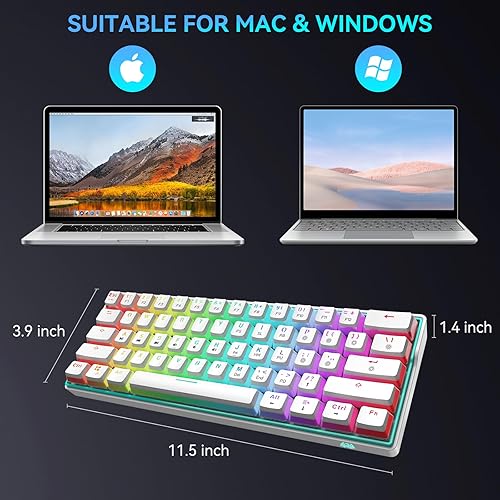 Miniatura 7 de NT61 Teclado mecánico 60% para juegos con retroiluminación RGB completa PBT teclas de pudín de 61 teclas, teclado con cable ultracompacto