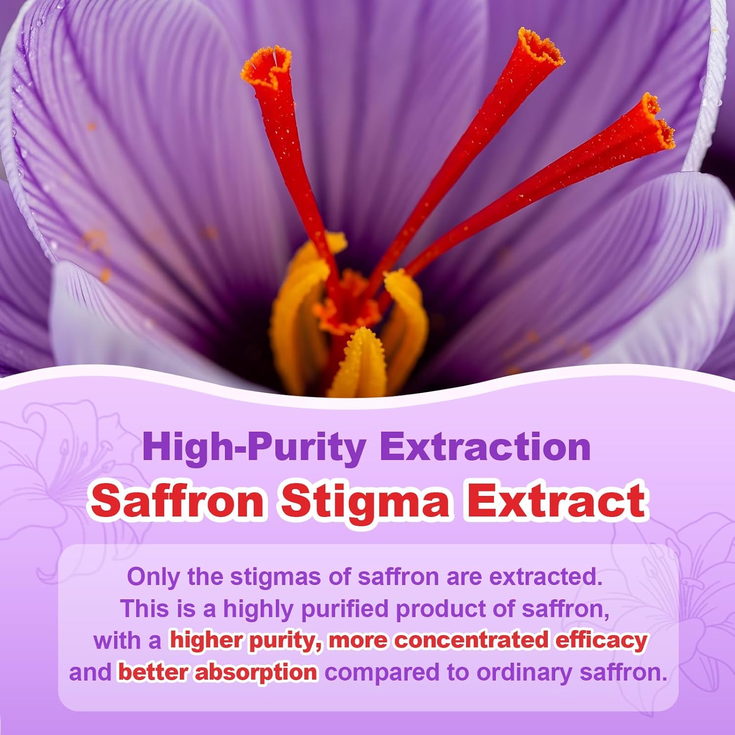 90 Count | Saffron Gummies for Kids, Calm Focus Gummies for Kids 4+, Organic Saffron Supplements w/Multivitamin, L-Theanine, Omega-3, Support Happy Mood, Cognition & ZZz, Sugar Free, Raspberry Flavor - Image 3