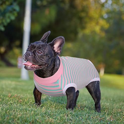 Miniatura 10 de Traje de recuperación para perro, pijama quirúrgica para cachorros, body para perros y gatos después de la esterilización, vendas para heridas