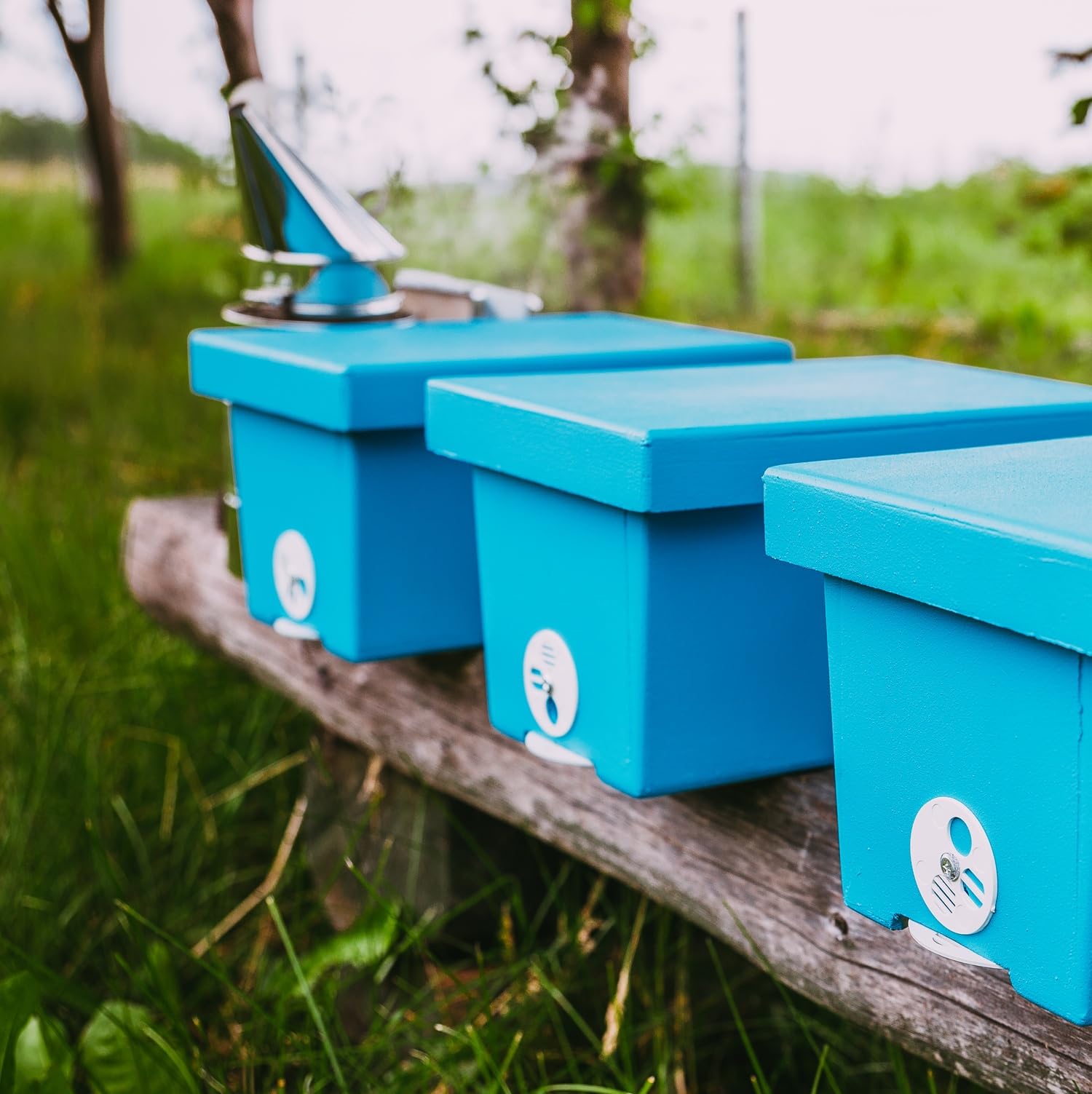 LYSON Mini ruche d'abeilles pour une famille en polystyrène peint - Règle de mariage - Accessoires d'apiculture