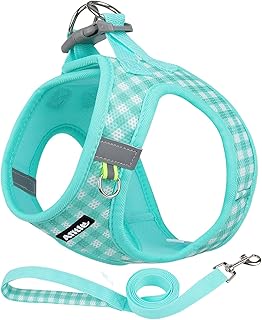 AIITLE Anti-Zug-Haustiergeschirr mit Leine, Karierte, Bequeme, gepolsterte Weste, weiches, atmungsaktives Haustierzubehör, für kleine und mittelgroße Hunde und Katzen, Türkis, S product image