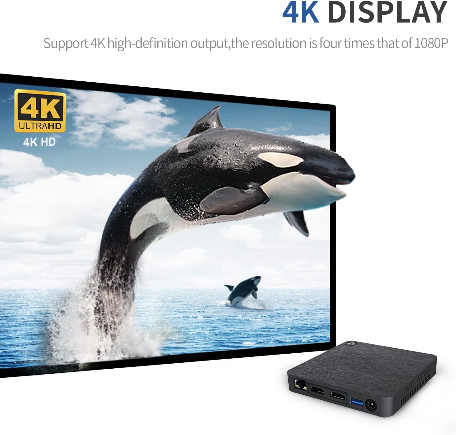 Gsinnerlink Mini Desktop Computer Windows 10, 4GB RAM, 64GB ROM