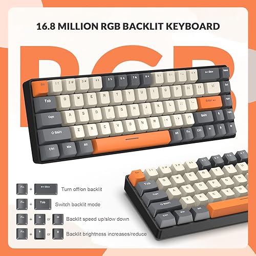 Miniatura 3 de ZIYOU LANG RK-T8PR0 Combo de teclado y mouse mecánicos con cable 65% para juegos con retroiluminación RGB, antifantasma, TKL Mini de 68 teclas en