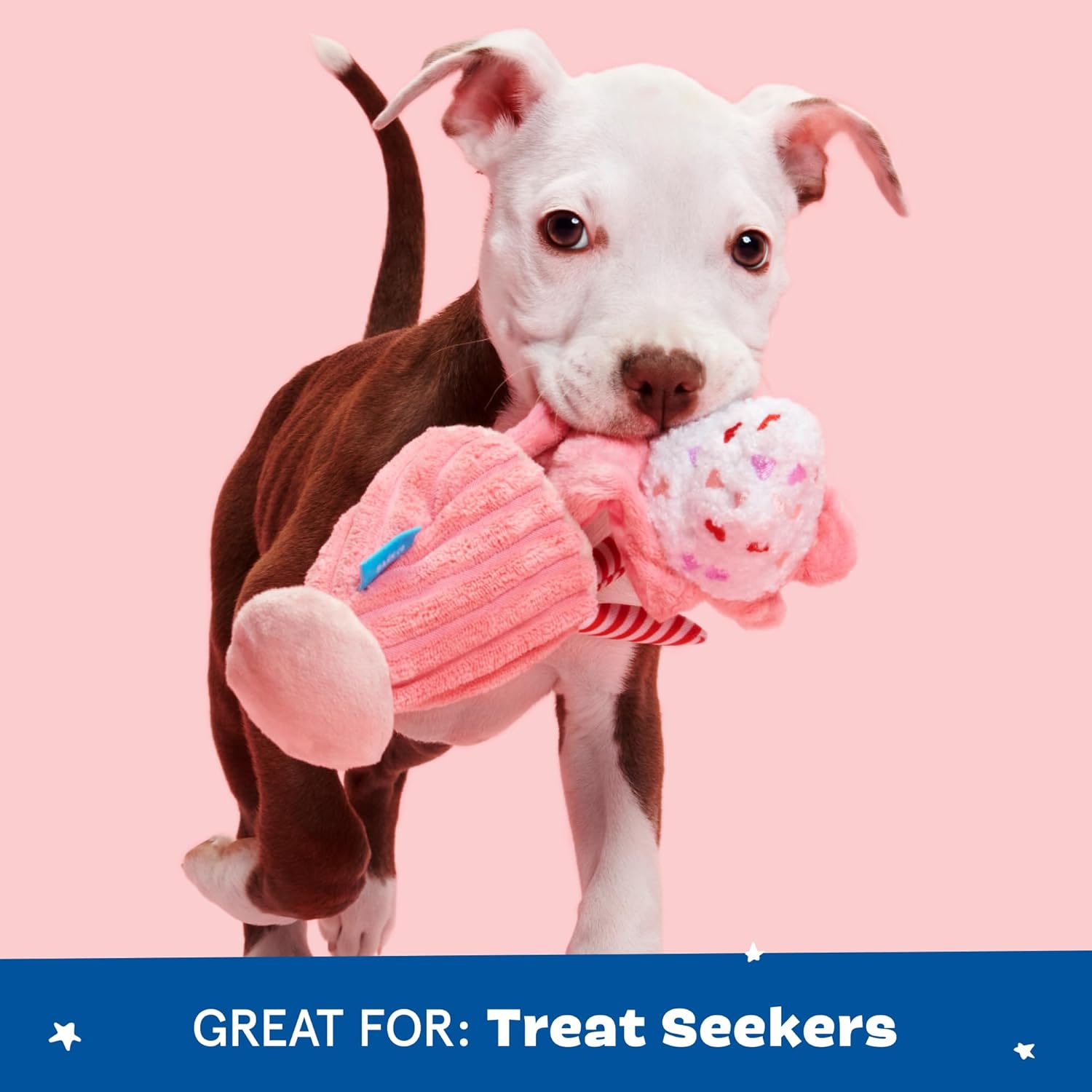 Barkbox Plush Dog Toy Bundle – Barker’s Dozen Donuts 4-in-1 Interactive Toy & Red Whine Milkshake Squeaky Plush Toy for X-Small to Small Dogs