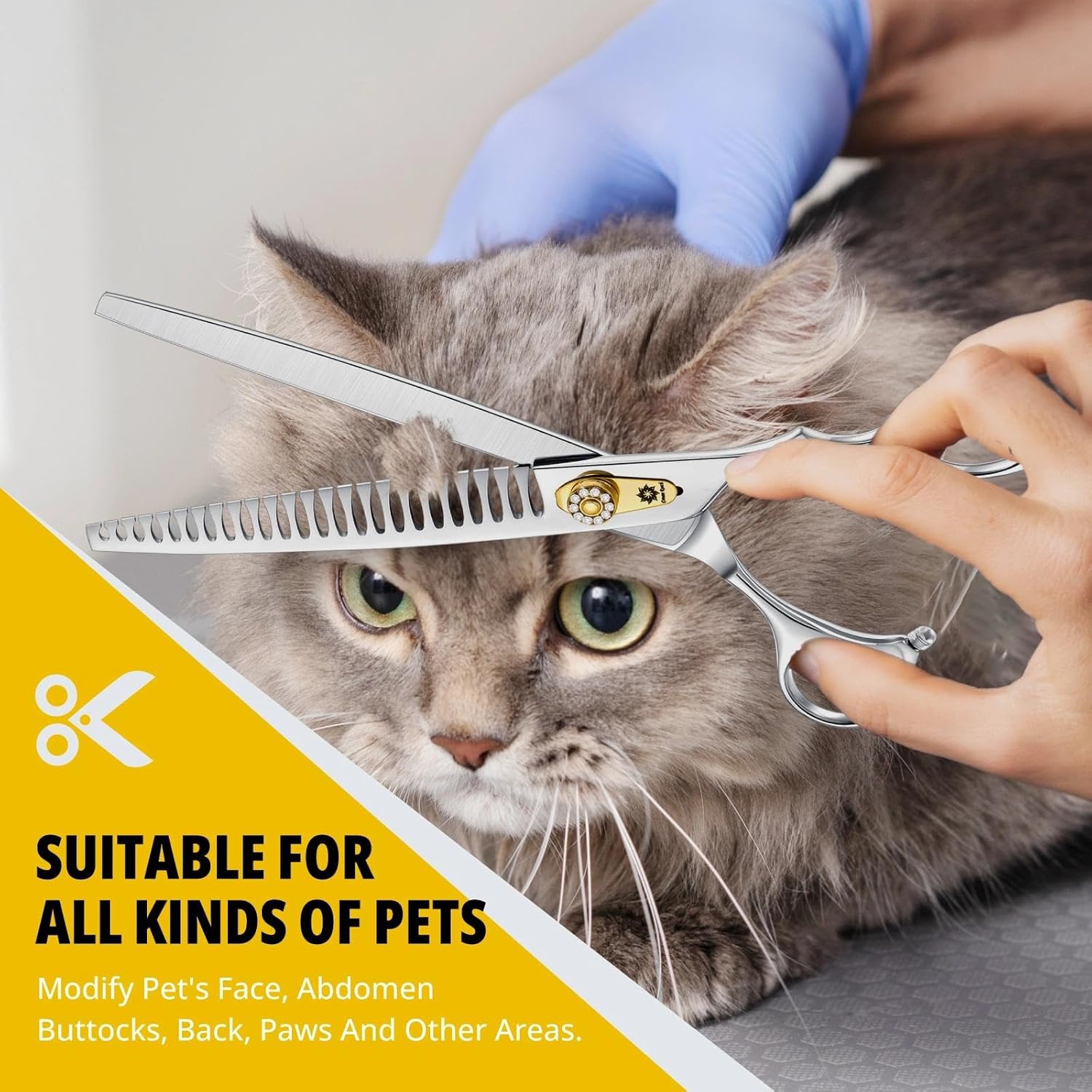 Dream Reach Chunker Dog Scissors - 8 Inch Ergonomic Professional Pet Grooming Fishbone Shears with Adjustable Screw