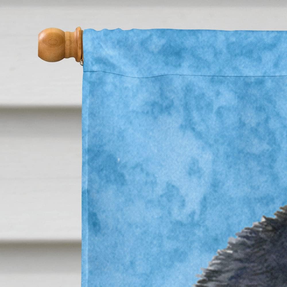 Caroline's Treasures SS4154CHF Akita Flag Canvas, Large, Multicolor