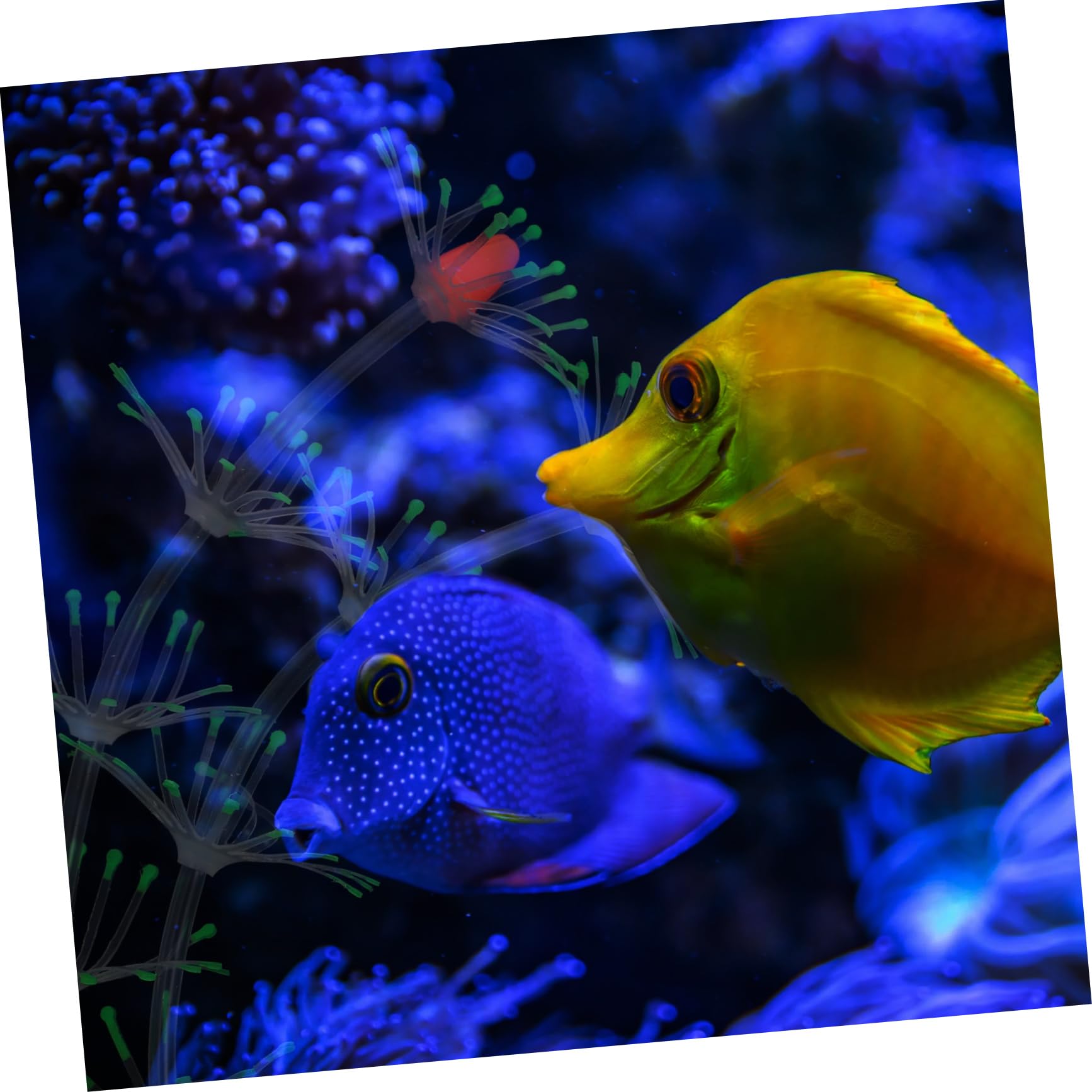FRCOLOR 3stücke Aquarienpflanze Aus Lebensechte Künstliche Wasserpflanze Für Fischbecken-Dekoration Vivid Fake Plant Für Aquarien Und Fischliebhaber Sichere Und Sanfte Gestaltung Für