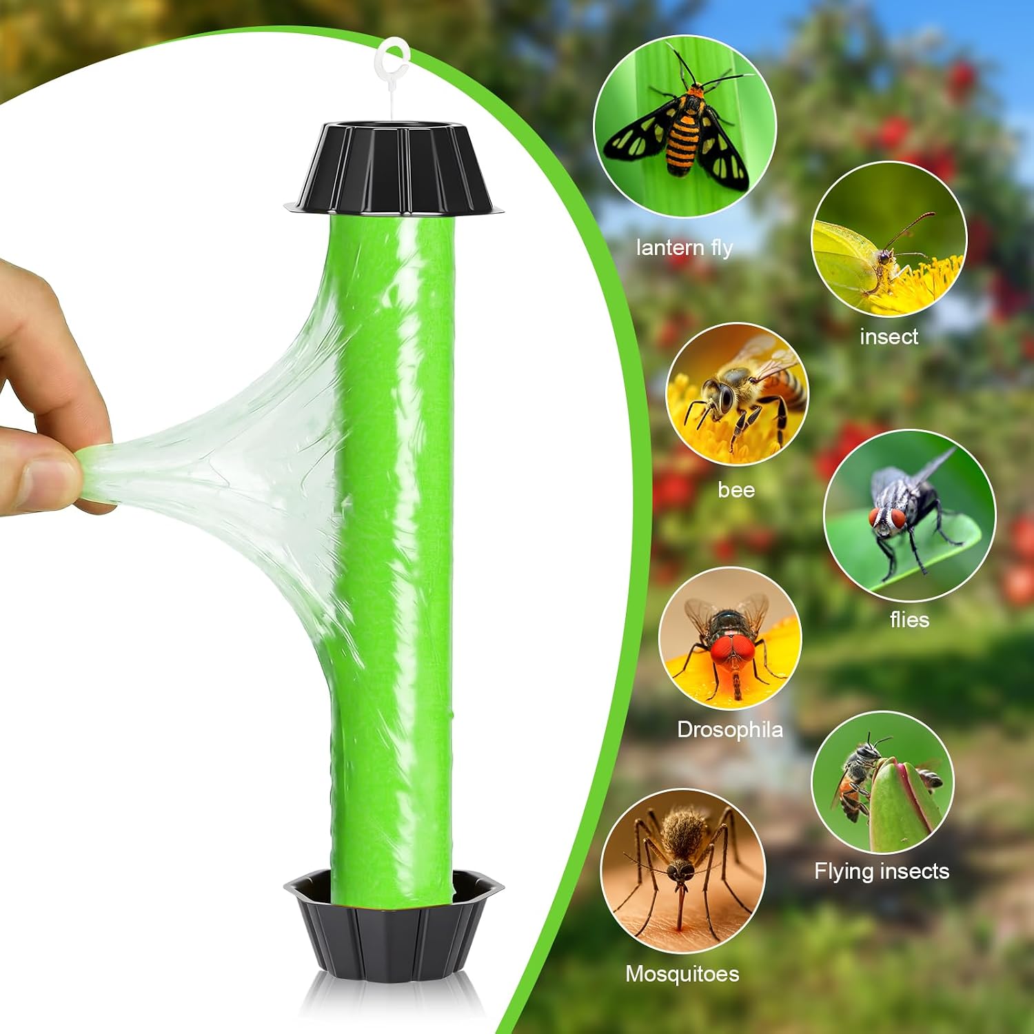 8 Pcs Fly Traps for Indoor Outdoor Hanging Fruit Fly Stick Trap Sticky Mosquito for Home Insect 10 x 2.5 Inches (Stylish,Green and Black)