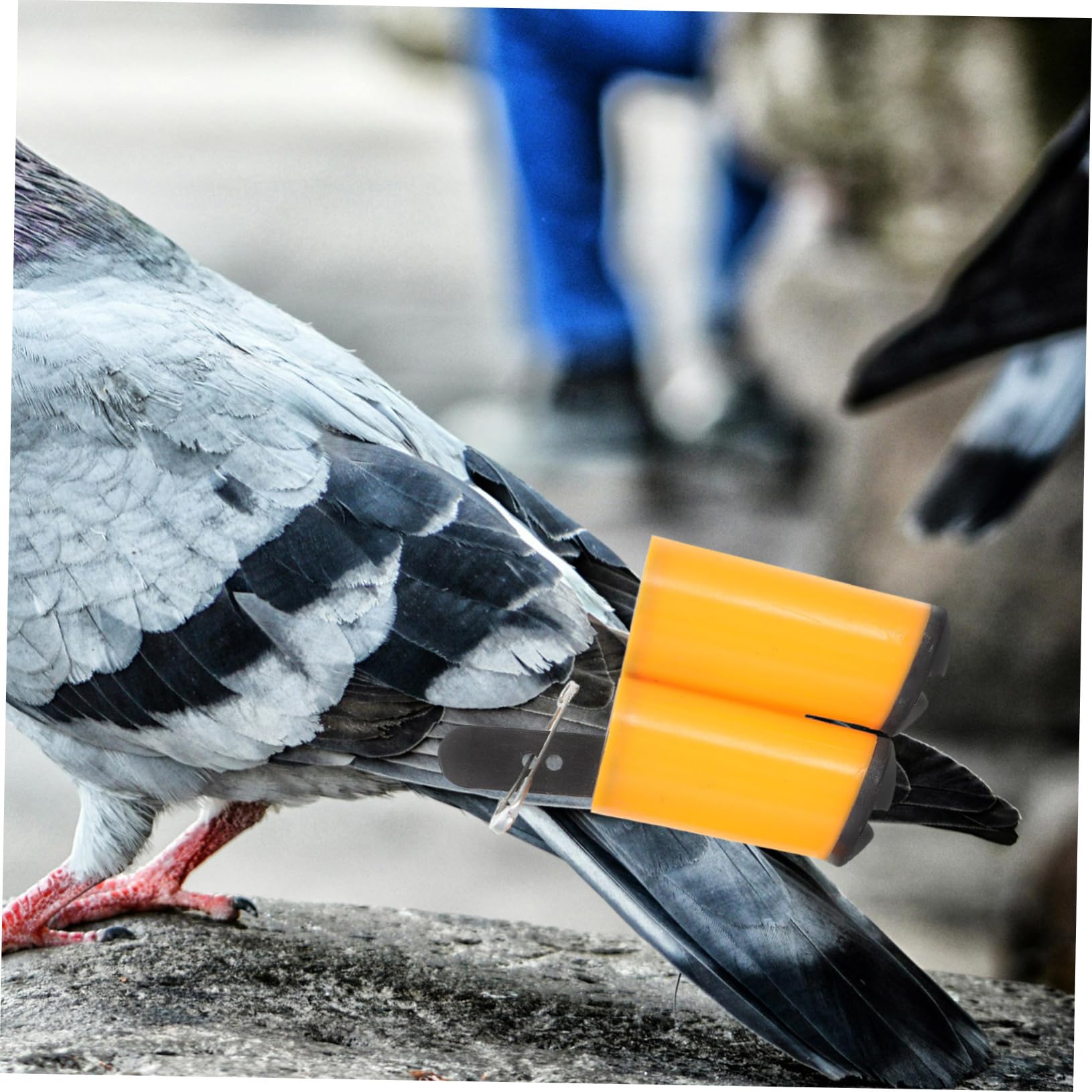 GALPADA 2sets Pet Pigeon Training Whistle Portable and Lightweight Craftsmanship 2pcs*2 Random